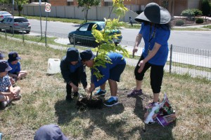 Planting new trees to commemorate 10 years